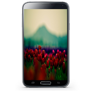 Free صور و خلفيات ورود حمراء APK for Android