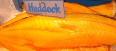 Haddock_DC_t