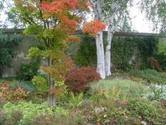 jardin d'automne