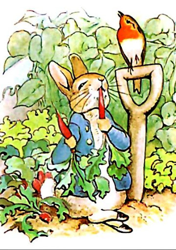 The Tale Of Peter Rabbit