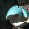 Hatched American robin egg