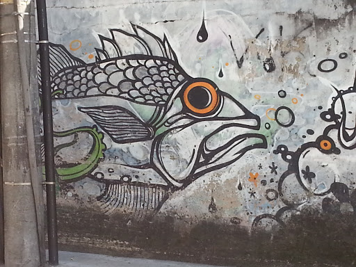 Grafite Peixe Morto