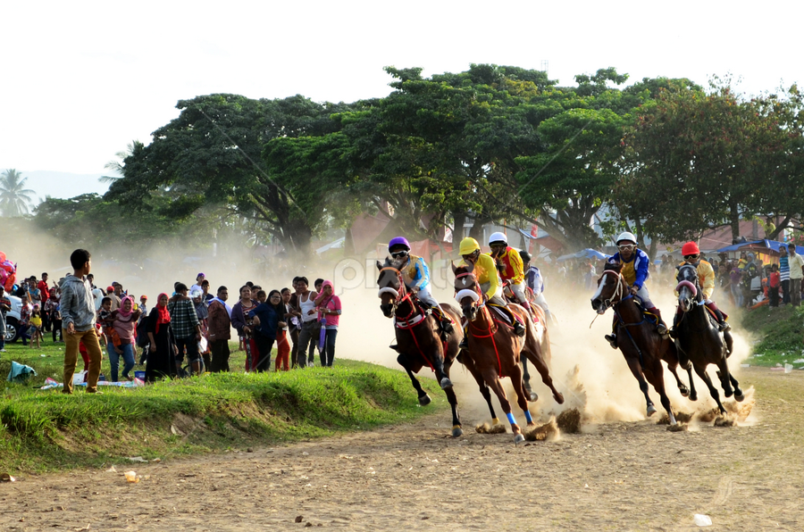 Pacu Kuda by Bhima Pasanova - Novices Only Sports