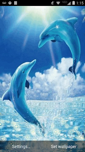 Dolphins Live Wallpaper