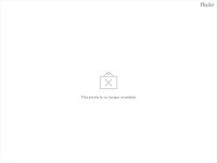 阿部平價海鮮燒烤