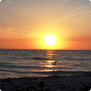 Sunset Ocean Live Wallpaper HD 2.0