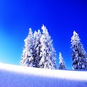 3D Winter snow logo
