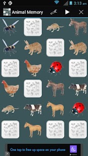 Free Download Animal Memory APK for Android