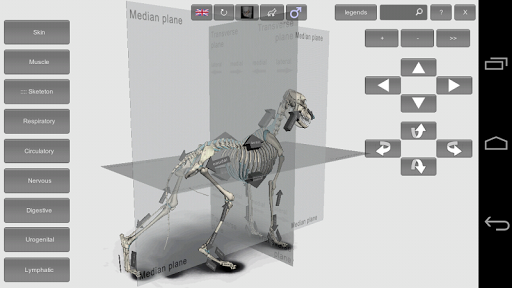 【免費教育App】3D Dog Anatomy-APP點子