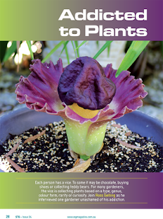 Gardening Magazine Screenshots 1