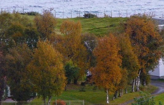 [høstbilder 002[9].jpg]