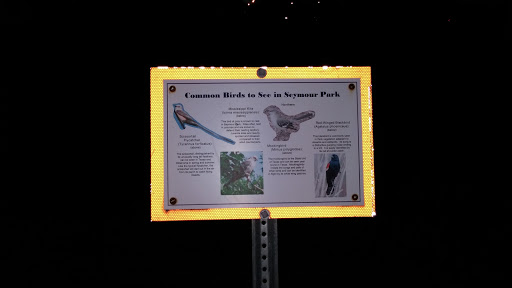 Common Birds In Seymour Park
