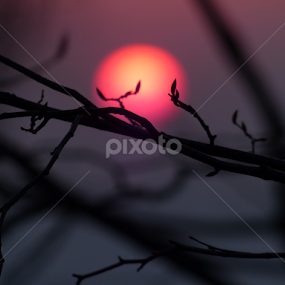 Spring sunset by Cristian Vidrașcu - Landscapes Sunsets & Sunrises