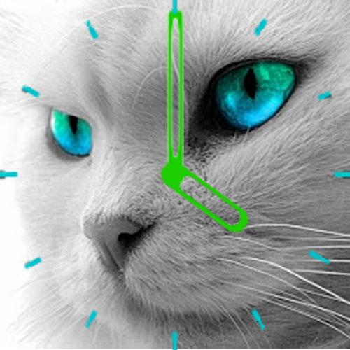 Cat Clock OrologioGatto Widget