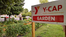 Y-CAP Garden