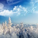 Winter & Nature Pics HD logo