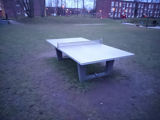 RG Outdoors Table Tennis
