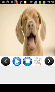 How to install Dog Ringtones 1.5 unlimited apk for android