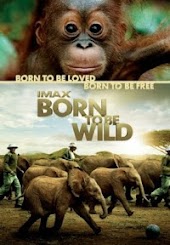 IMAX: Born To Be Wild