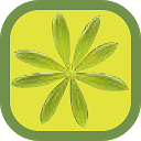 Essbare Wildpflanzen mobile app icon