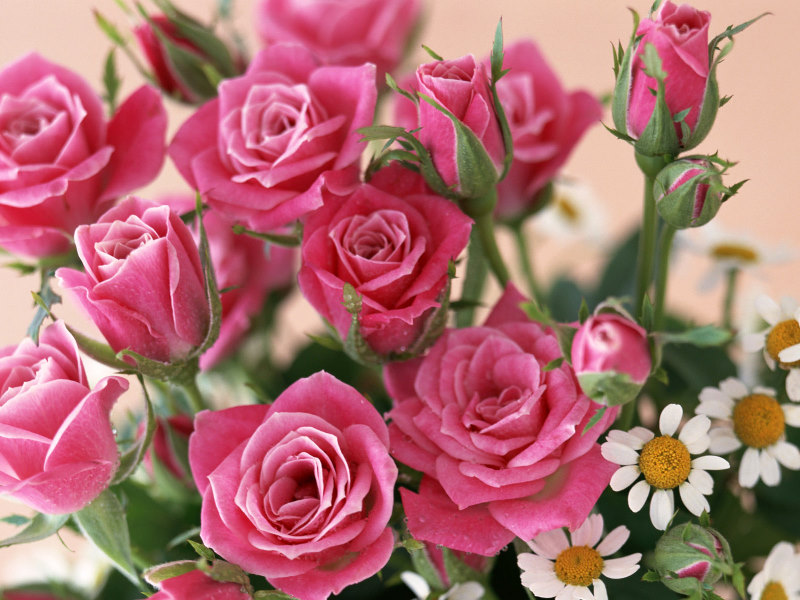 Flowers-At-Home-79-QQ04AUNOKF-800x600.jp