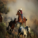 Horses and ponies logo