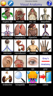 Captura de pantalla de la aplicacion Android Visual Anatomy 2