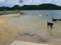 James Island County Park Dog Park