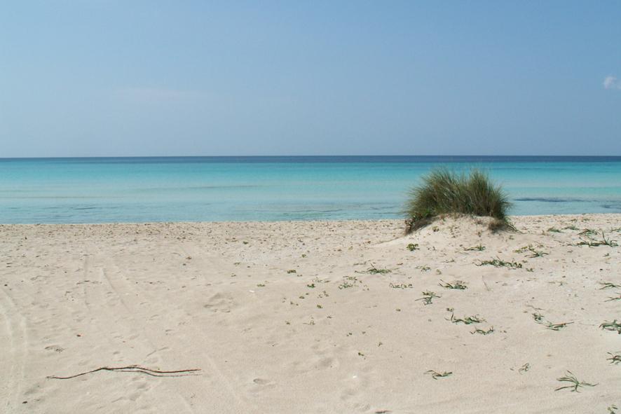Ashtanga Yoga Mallorca Retreats Dates Booking Copy