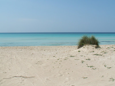 [最も好ましい] majorque hotel plage privée 109289