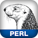 Automating SysAdmin with Perl
