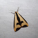 Clymene Moth