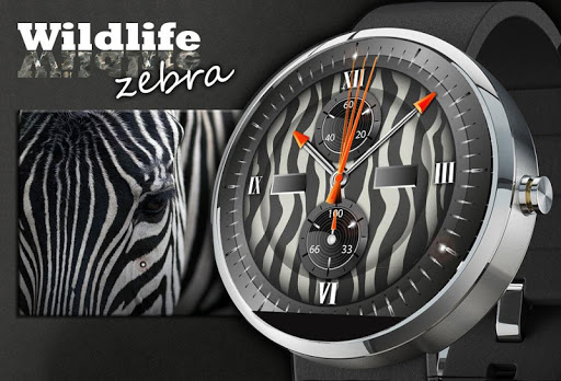 【免費個人化App】Wildlife Zebra Watchface Wear-APP點子