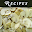 Mushroom Recipes! Download on Windows