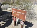 Palm Canyon Trail