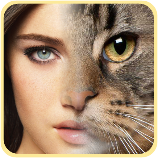 How to download Insta Face Morph patch 1.0 apk for laptop