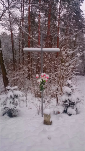 Krzyż w lesie w Oleśnikach 
