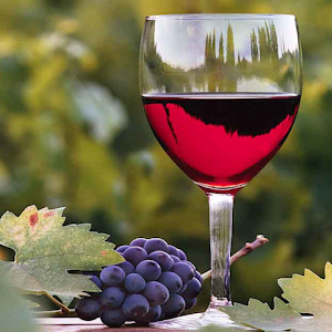 Napa Valley Winery for Tablets