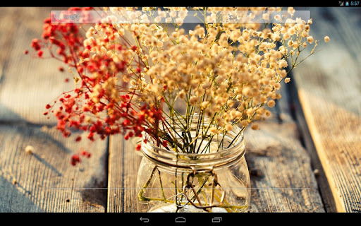 免費下載個人化APP|Flowers on the wood Wallpaper app開箱文|APP開箱王