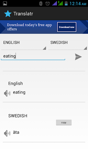 swedish translator