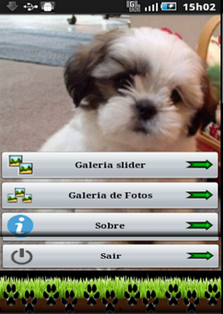 Cachorros Shih Tzu