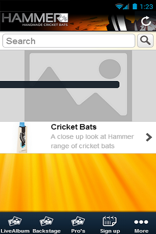 Hammercricket