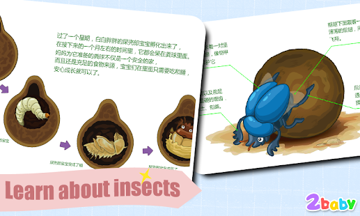 Dung Beetle - Insect World Screenshots 3