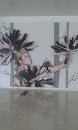 Hornbill Dancer Wall Art