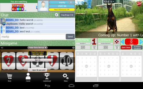 Dog Bingo HD Screenshots 0