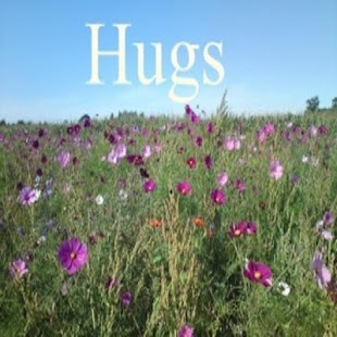 Free Download HUGS APK