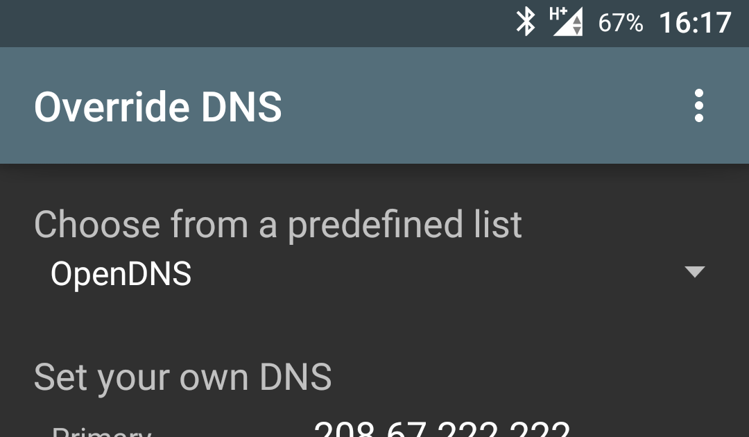 Override dns что это