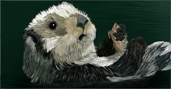 Sea Otter