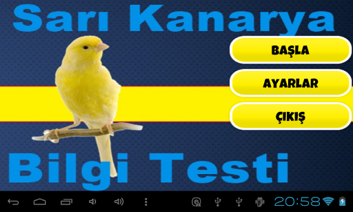 Sarı Kanarya Bilgi Testi