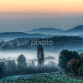Morning mist  by Miroslav Havelka - Landscapes Sunsets & Sunrises